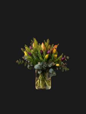 Färgglada Tulpane Tulpanbukett – en symbol för vårens glädje och elegans.