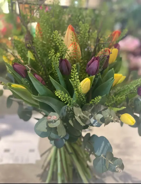 Färgglada Tulpaner mobil kamera bild