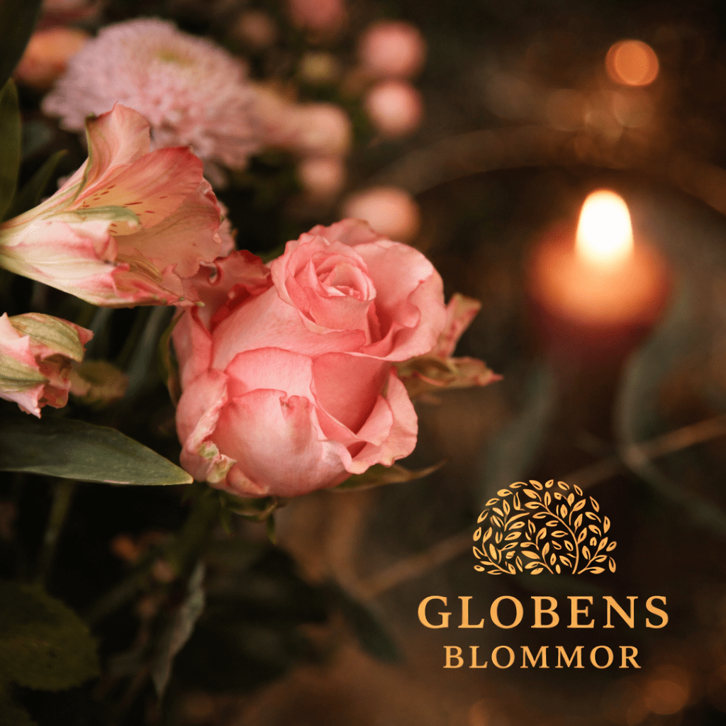 Flamingoblomma (Anthurium)